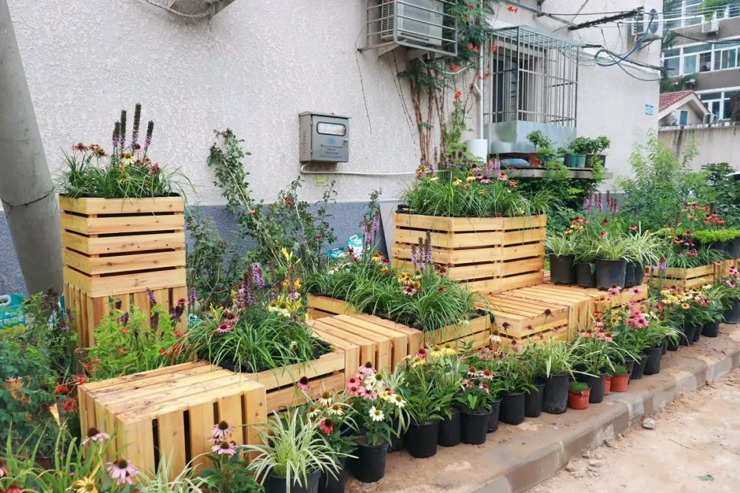 北京｜成长花园