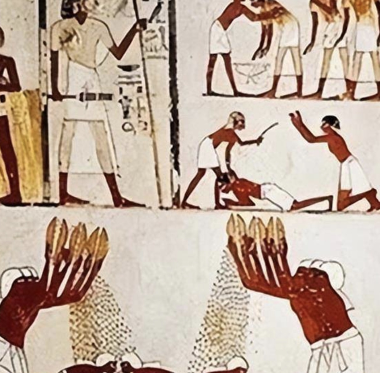 自古以来共享公共种植用地